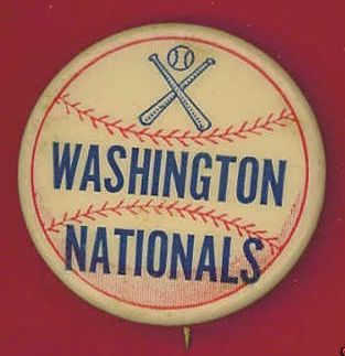 Team Pin Washington Nationals